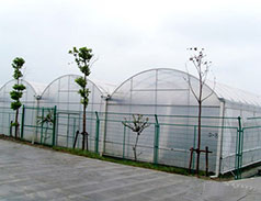 Simple multi-span arched greenhouse