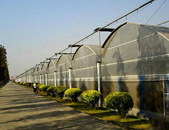 Thin film intelligent multi-span greenhouse