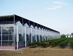 PC sheet multi-span intelligent greenhouse